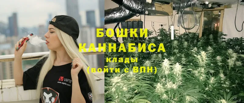 блэк спрут   Белозерск  Бошки Шишки Bruce Banner 